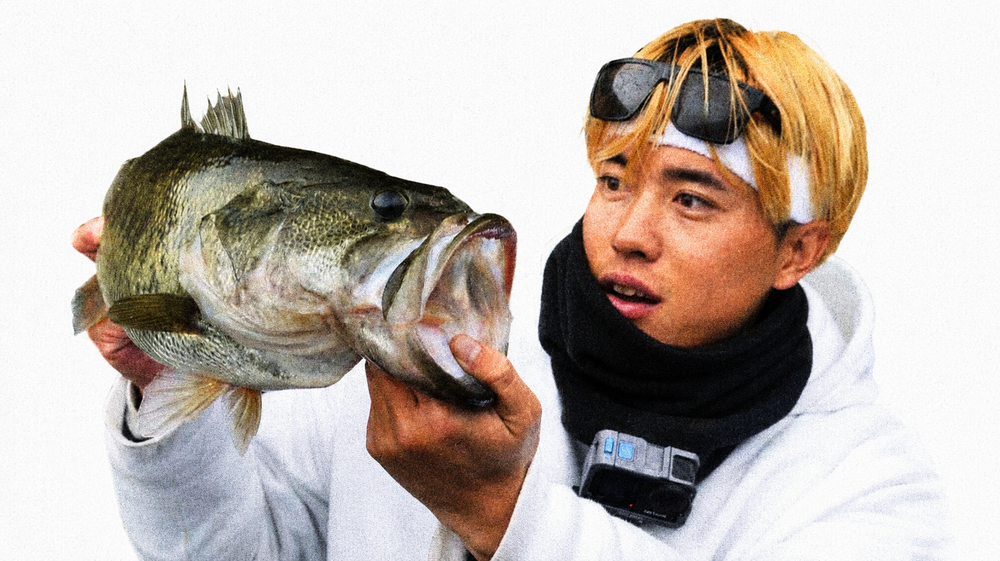 SF-003とSFヴィンテージT