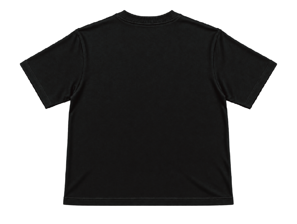SF-004 / KISIKAWA T