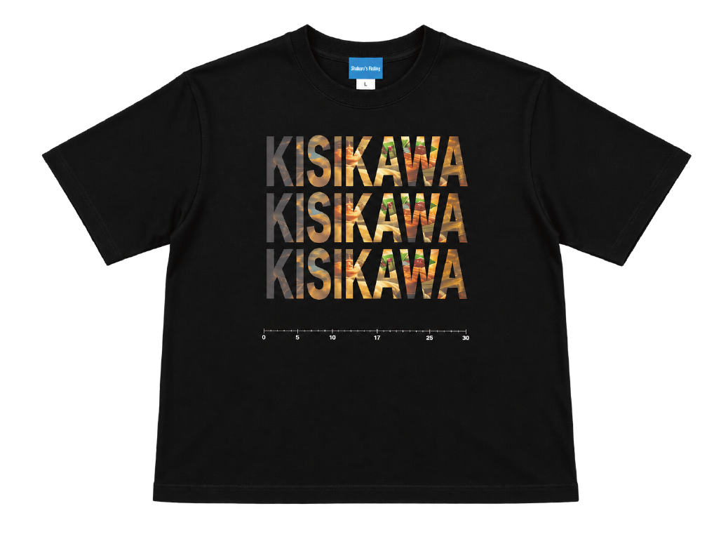 SF-004 / KISIKAWA T