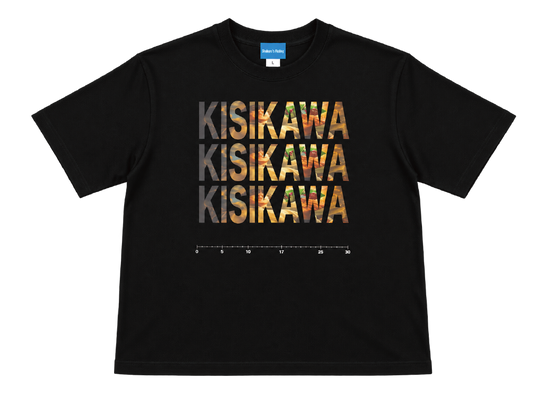 SF-004 / KISIKAWA T