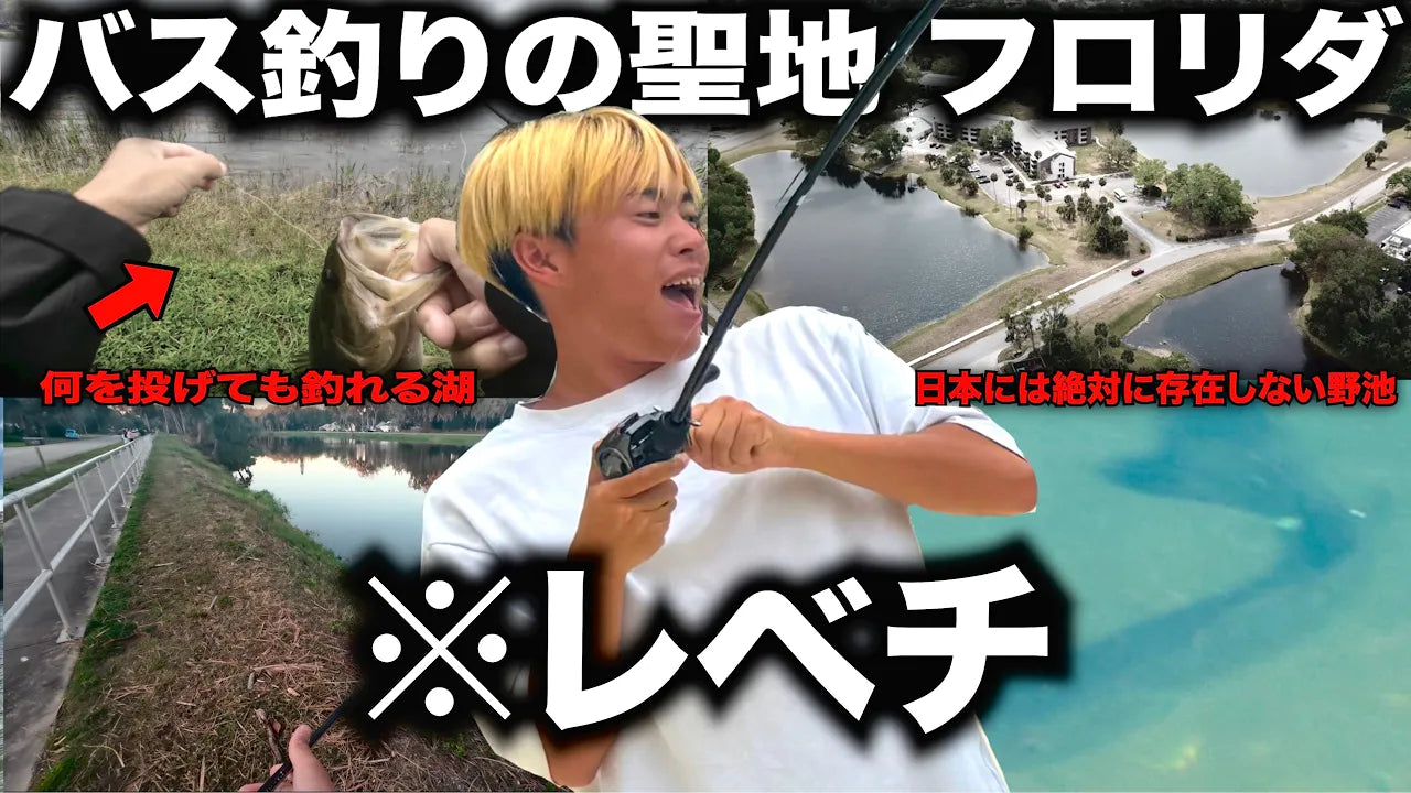 動画を読み込む: 